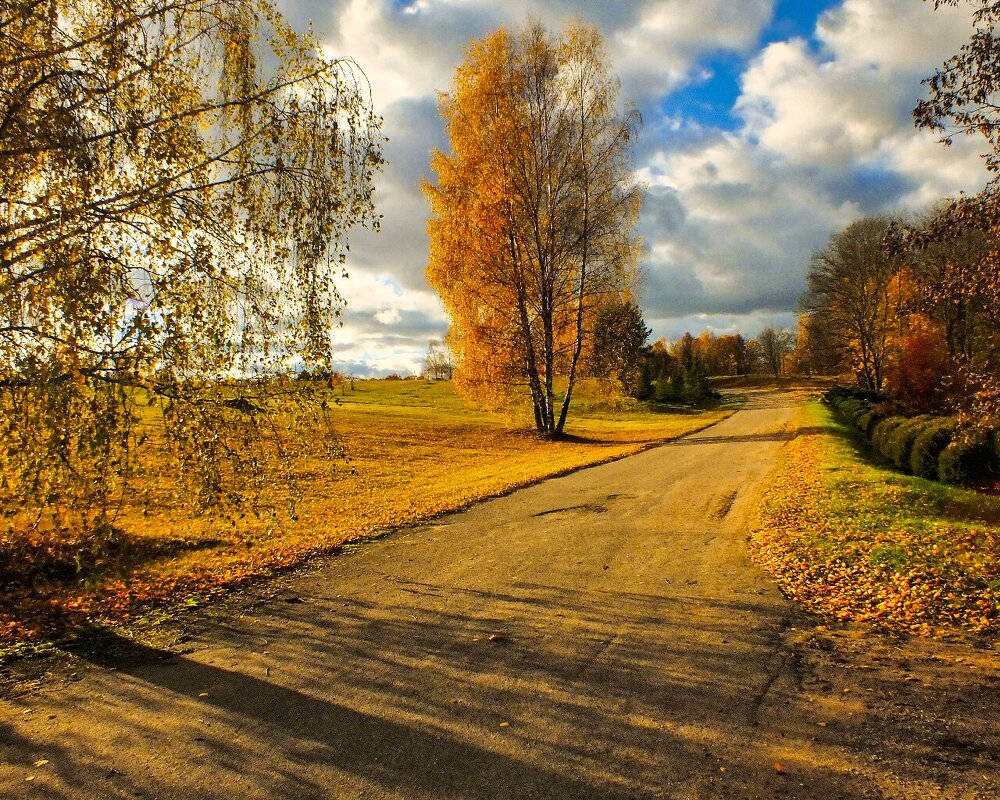 Осень дорога в деревне