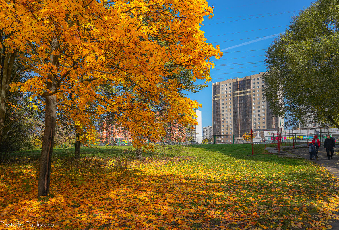 Московская Осень Фото