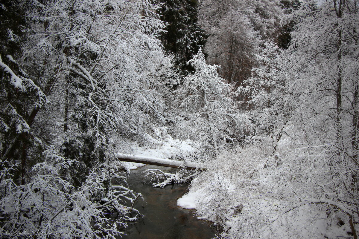 река в звенигороде