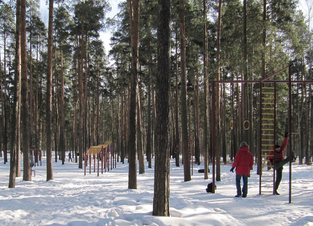 Зимой в парке - Вера Щукина