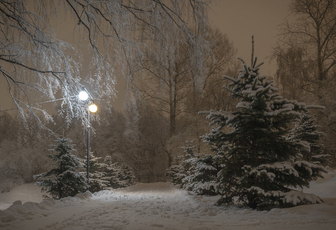 Вечером в начале зимы - Александр Орлов