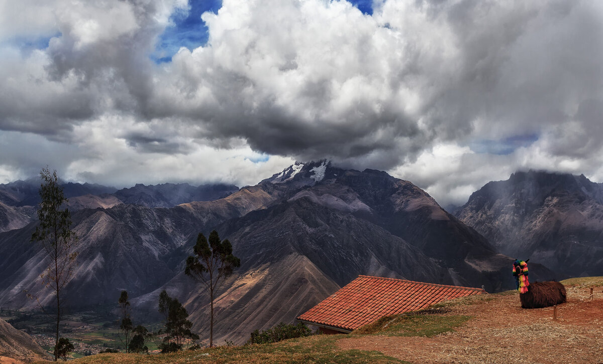 Альпака и горы Боливии... - Александр Вивчарик