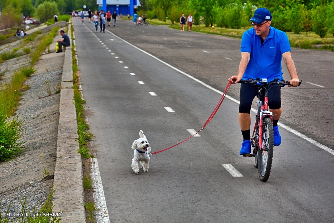 Велосипедист с собачкой - Mikhail Irtyshskiy