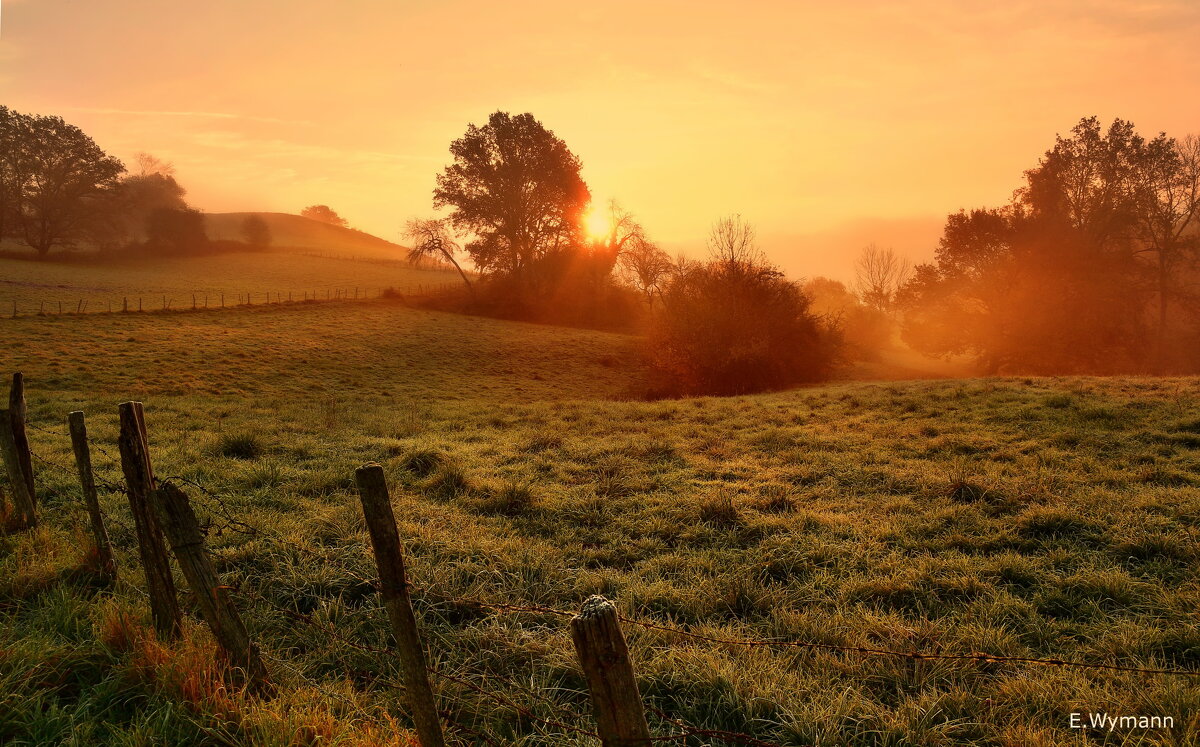 misty morning - Elena Wymann