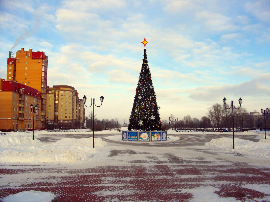 Новогодняя ель в парке на Александровской ул. - Лия ☼