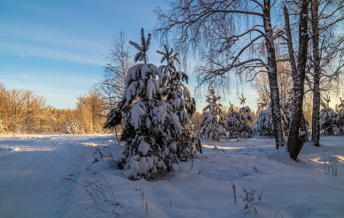 Декабрь, солнце и мороз.... - Андрей Дворников