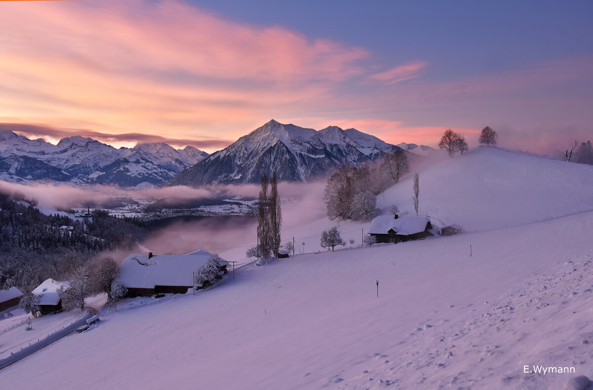 winter morning - Elena Wymann