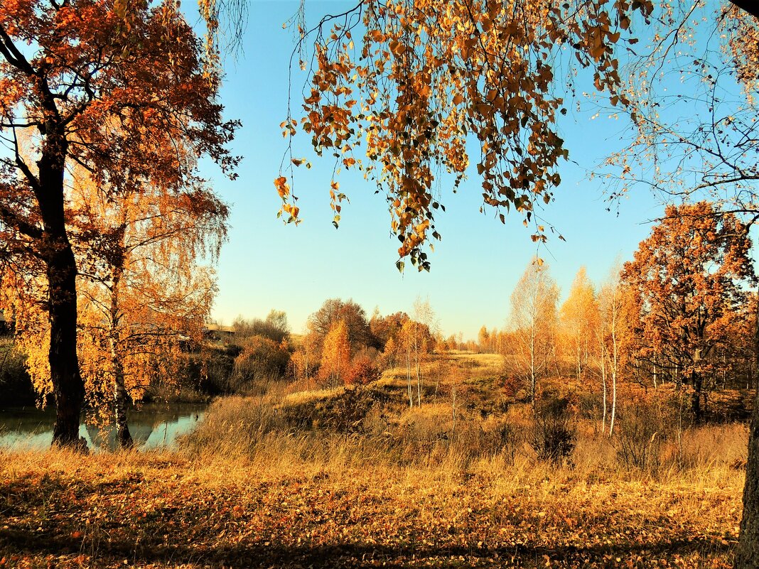 Осень - Вячеслав Маслов
