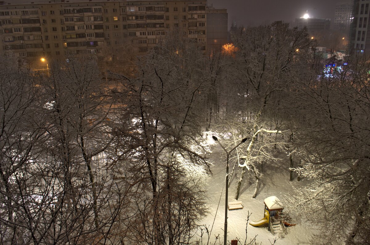 Ночь после снегопада - Кот Шредингера