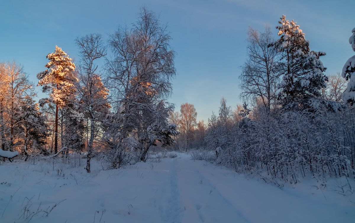 Декабрь, солнце и мороз 06 - Андрей Дворников