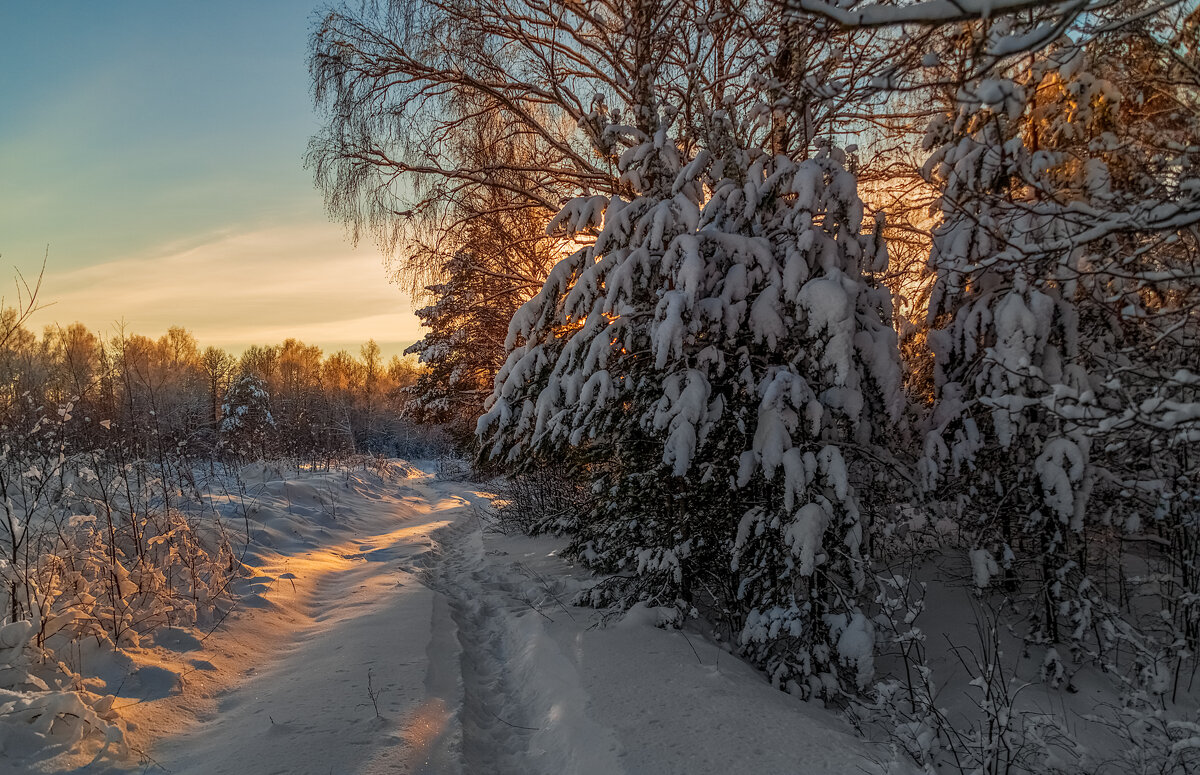 Декабрь, солнце и мороз 07 - Андрей Дворников