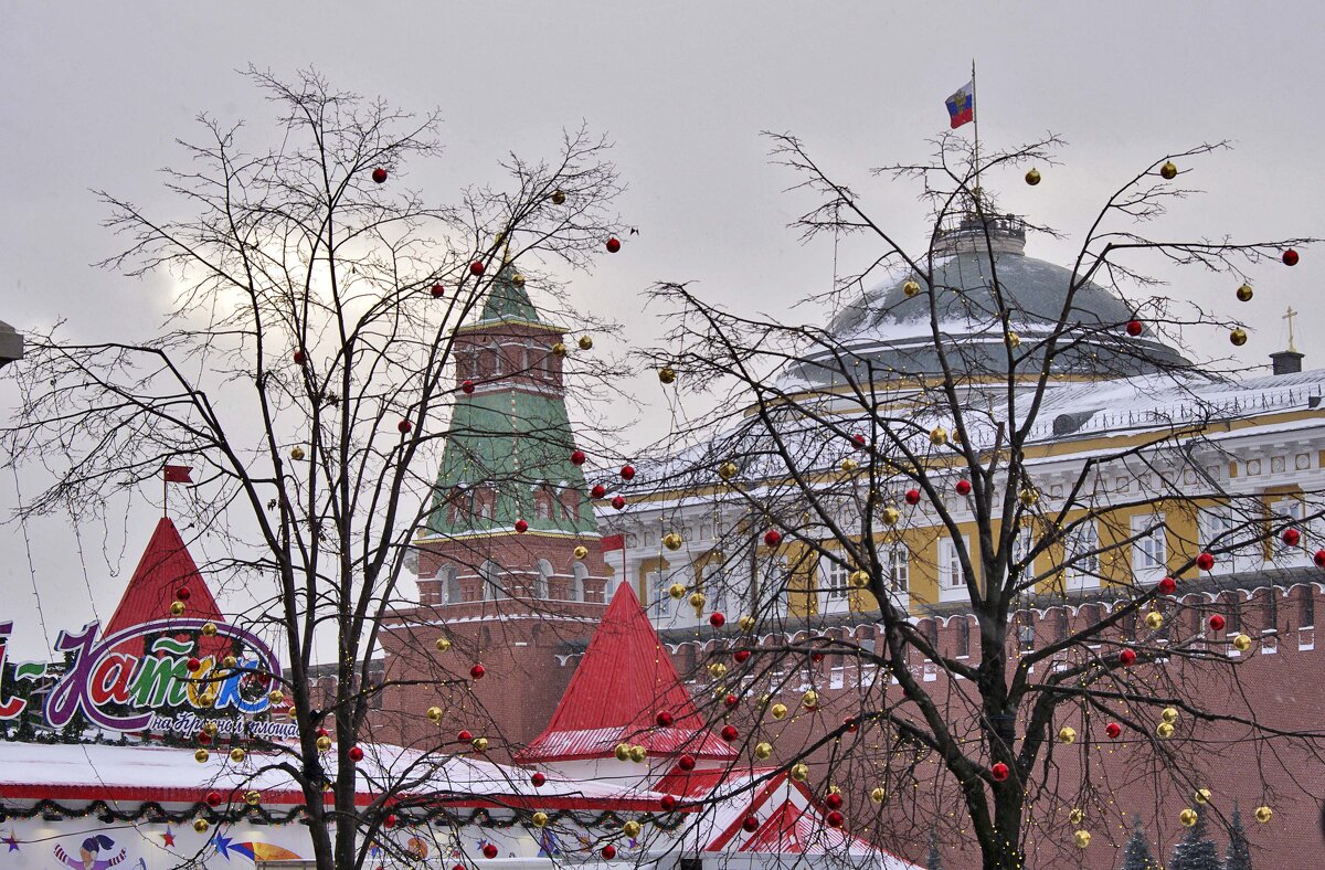 Москва новогодняя - Nina Karyuk