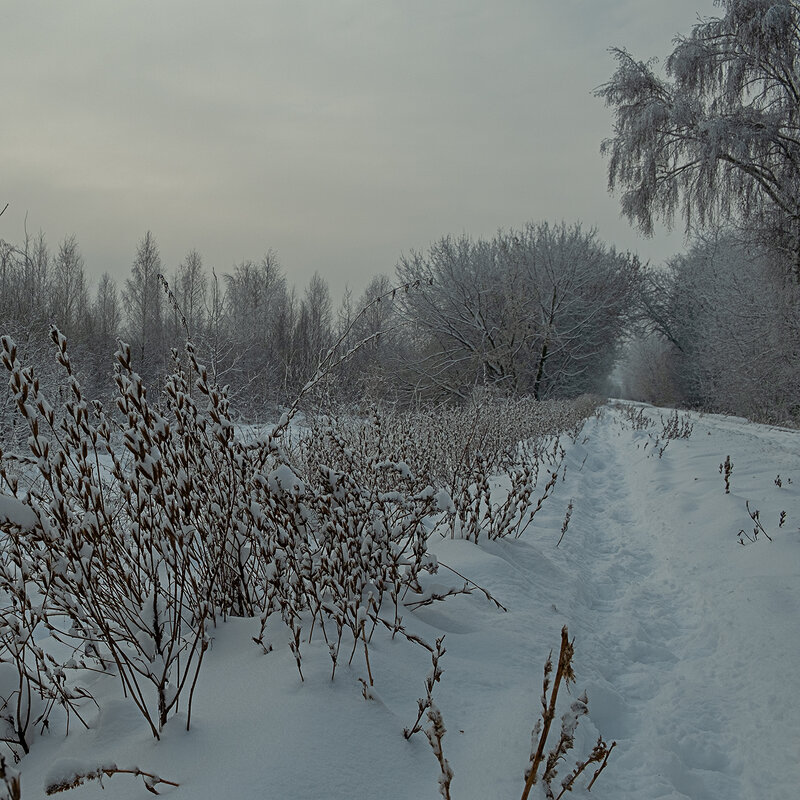 Прогулка с фотокамерой. - Олег Пучков