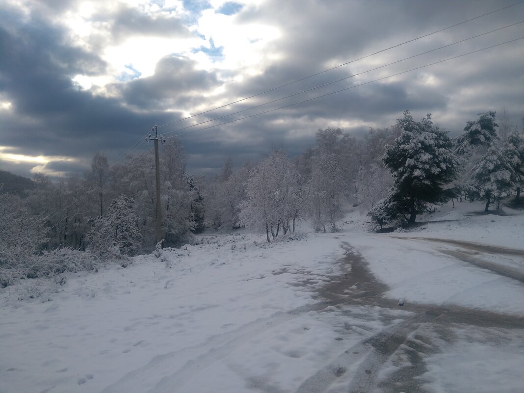 Зима - Марьяна 