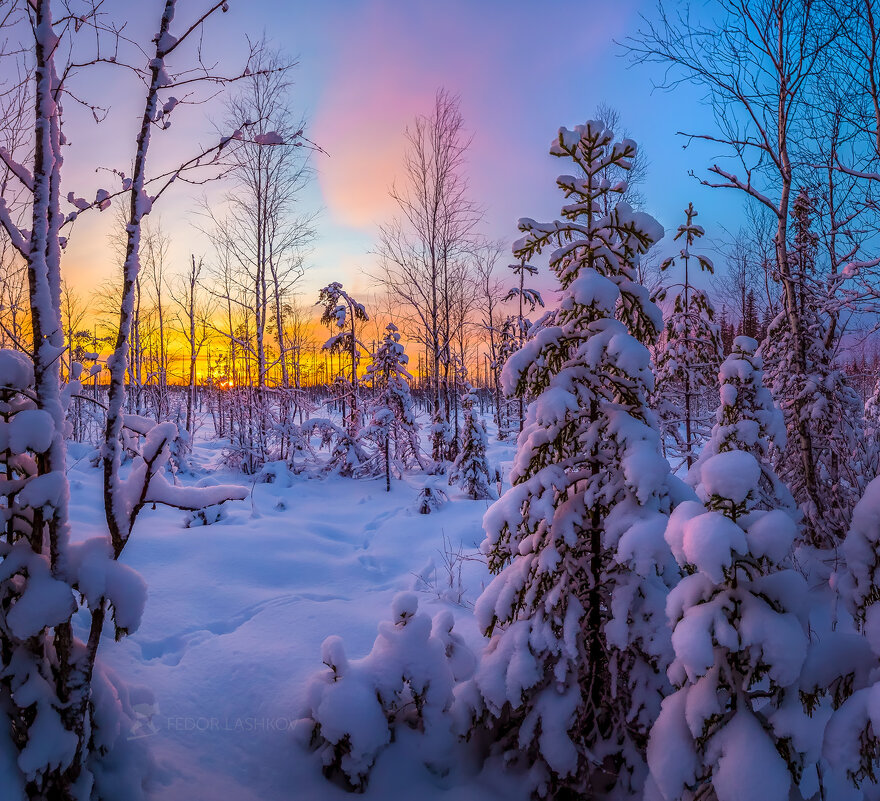 Зимний закат - Фёдор. Лашков