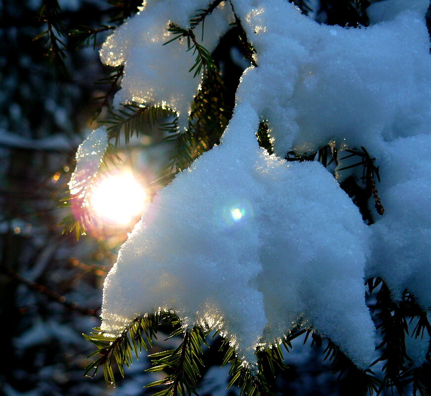 Соло для Солнышка со снегом - олег свирский 