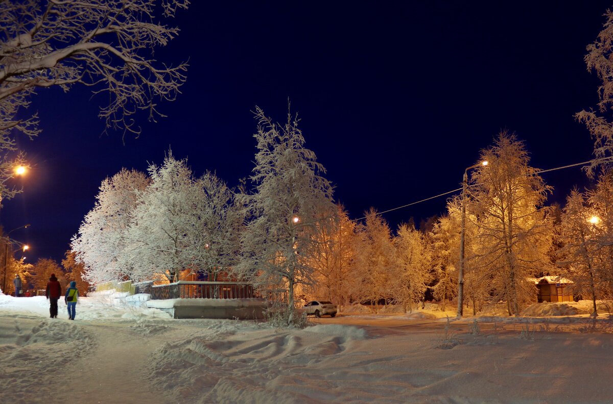 Зимние вечера - Ольга 