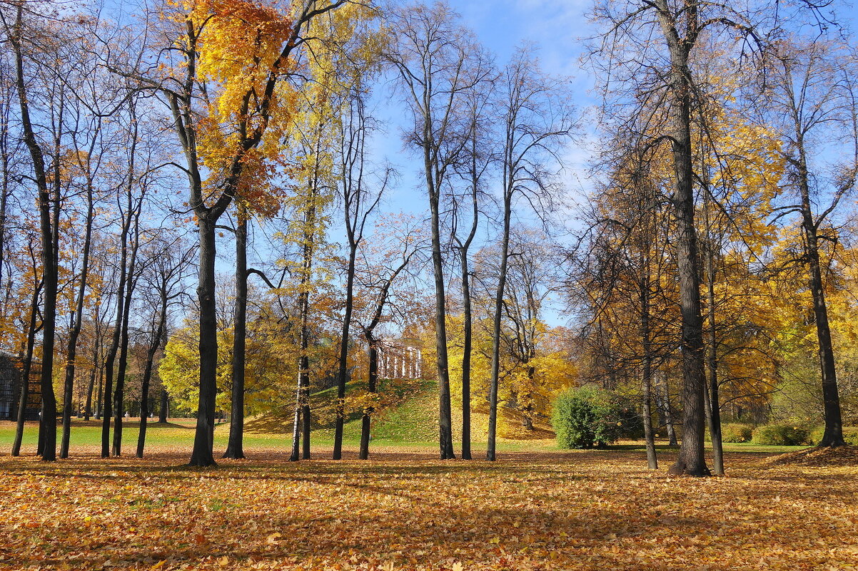 Парк Останкино - Маргарита Батырева