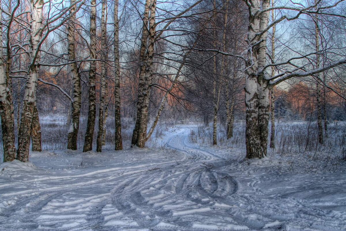 Зимний лес - Cергей Кочнев