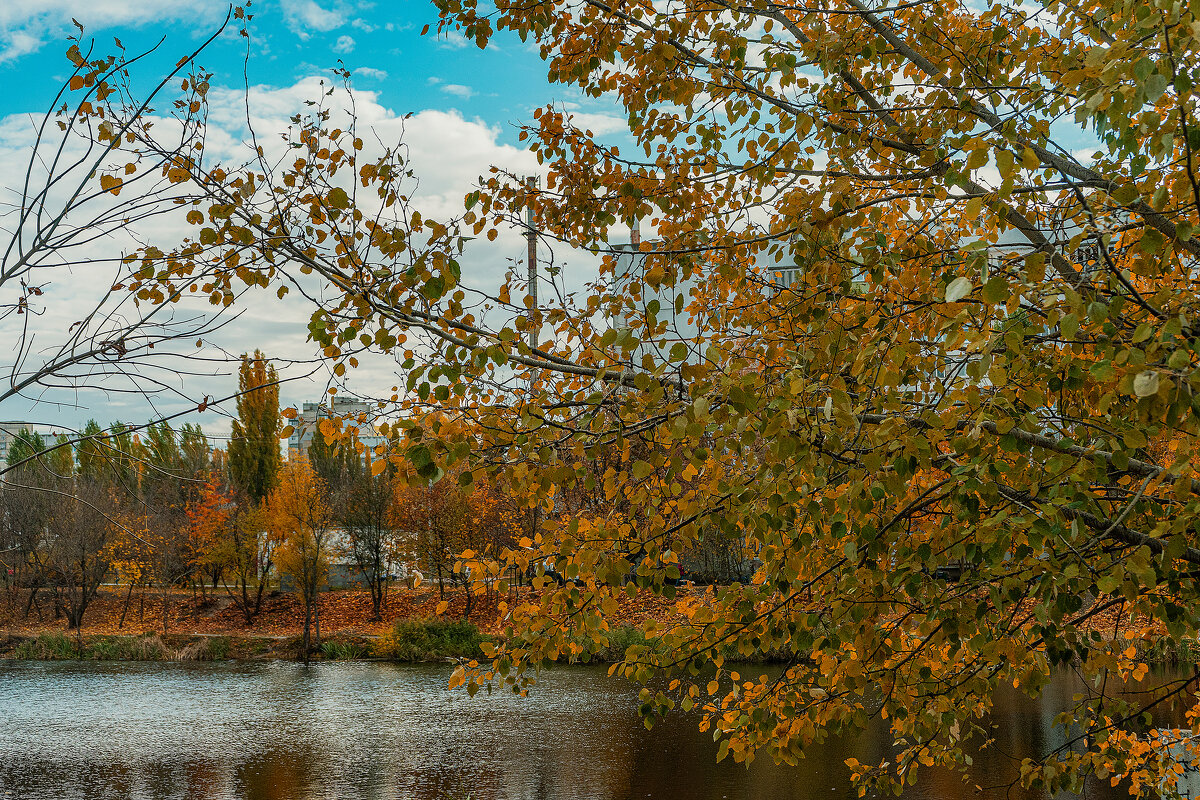 Фотозарисовка - Владимир Кроливец