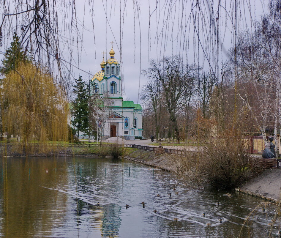 У Миргородской лужи - Андрей K.