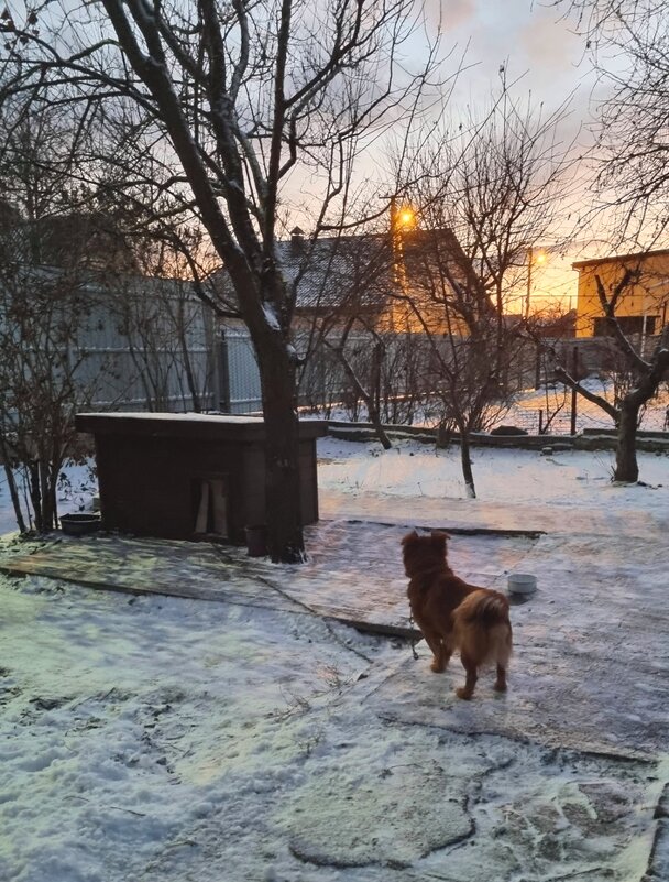 Вечер с первым снегом - Наталья 