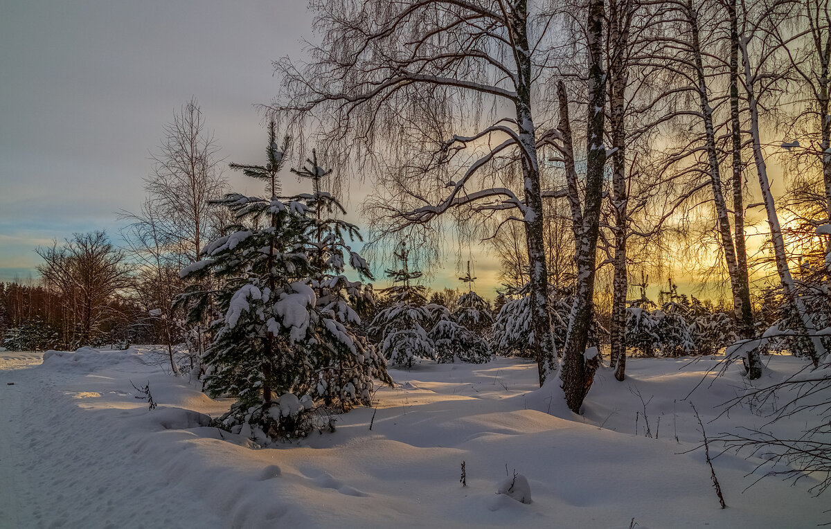 Морозное декабрьское утро 03 - Андрей Дворников