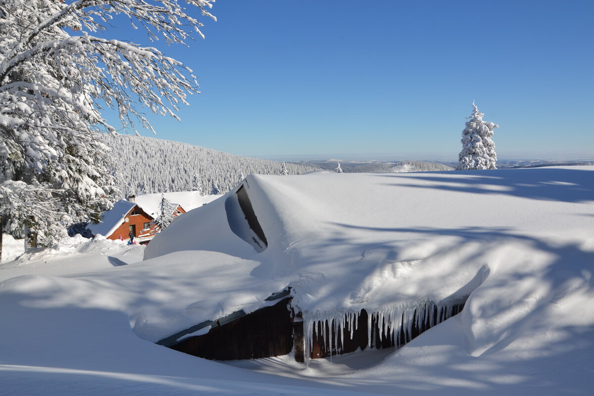 Под снежным покрывалом Зимы - tamara *****