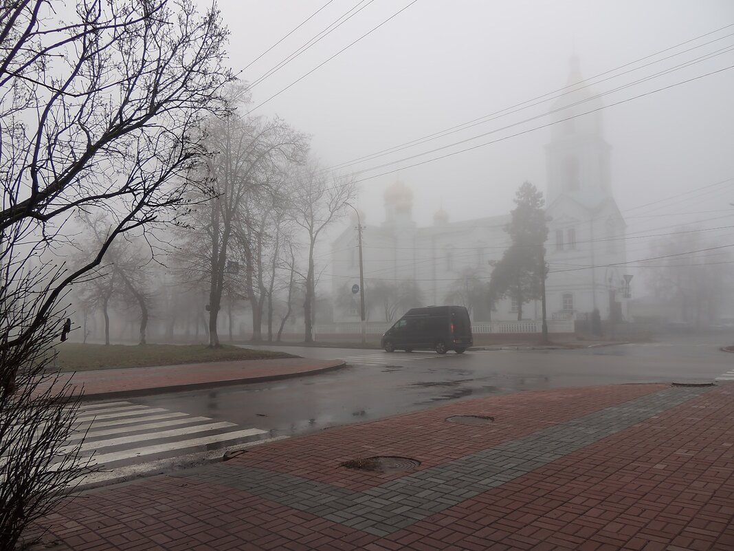 Утро туманное - Роман Савоцкий