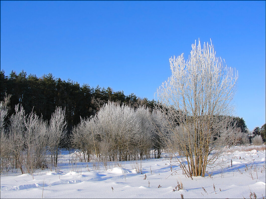 Зимний пейзаж - Фотолюб *