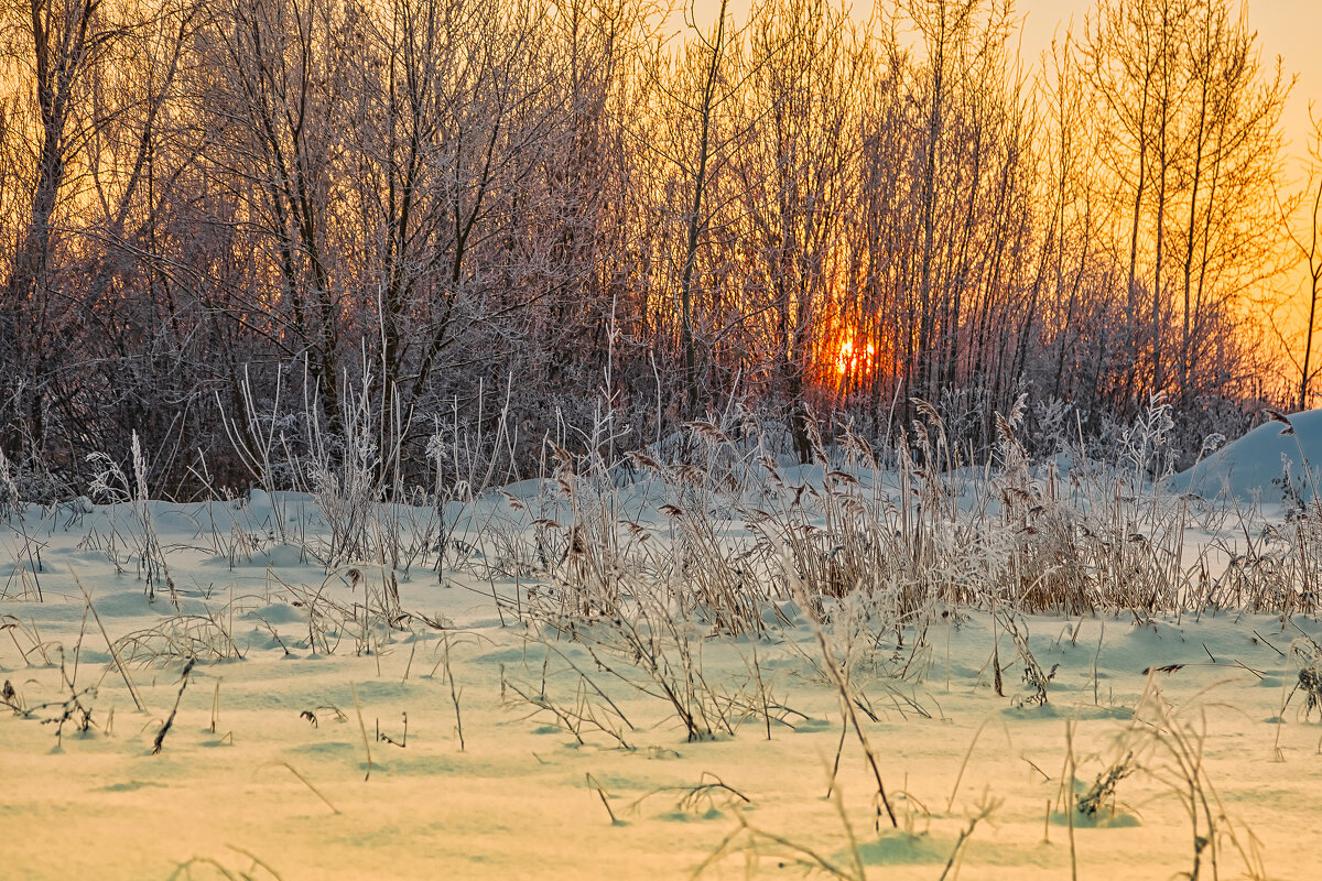Зимний закат - Mikhail Andronikov