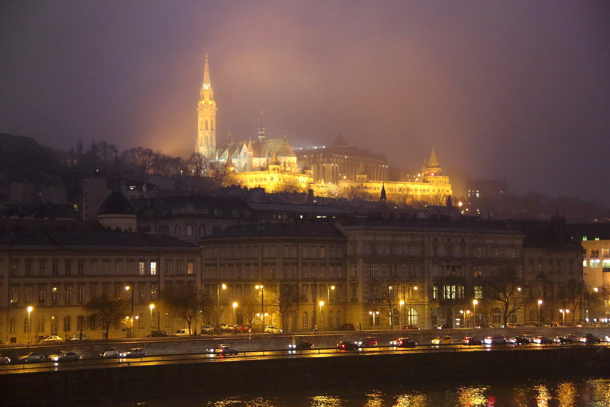туманный зимний вечер в Будапеште - Andrey Bragin 