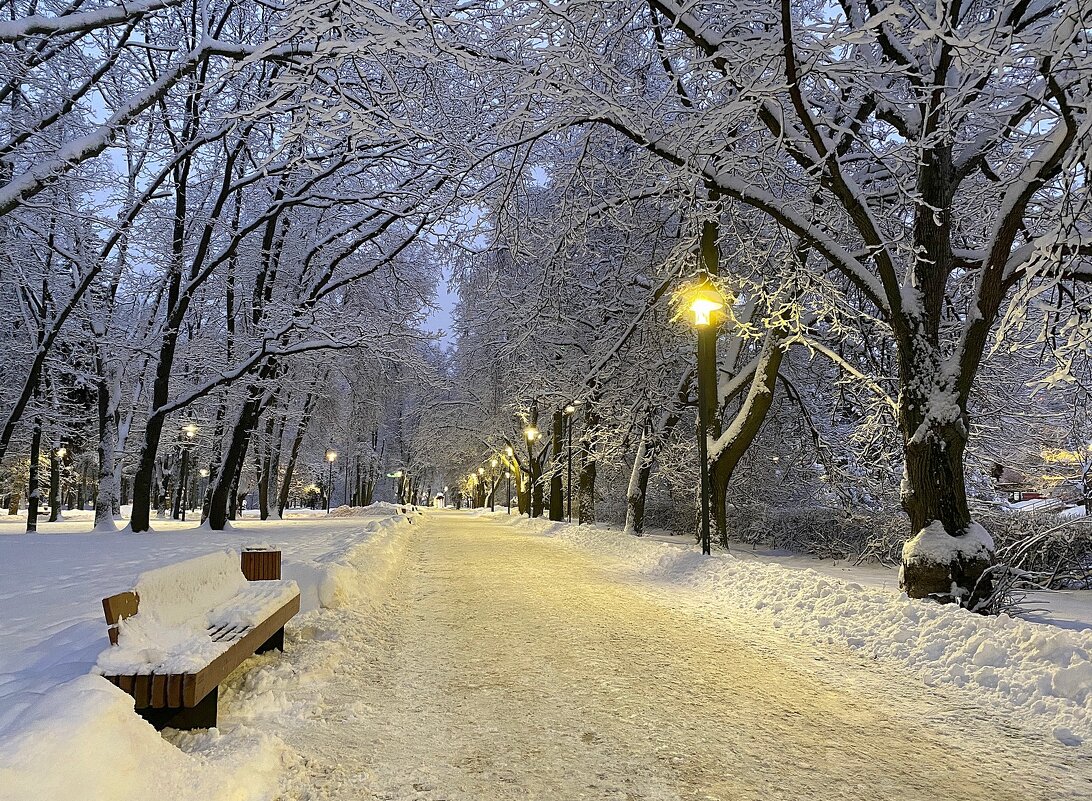Зима в парке на Речном - Александр Орлов