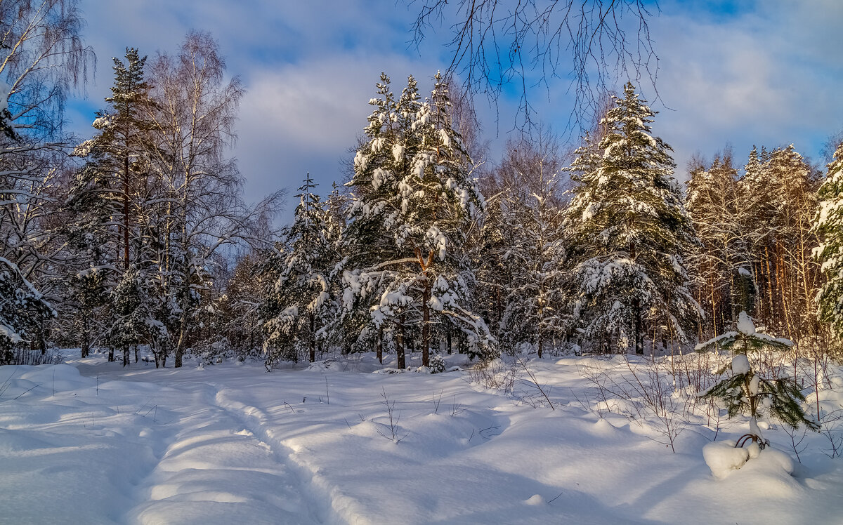 Морозное утро второго января # 03 - Андрей Дворников