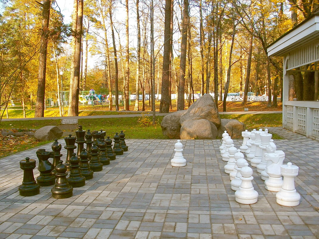 Шахматы - можно сыграть, трудно поднять :) - Лия ☼