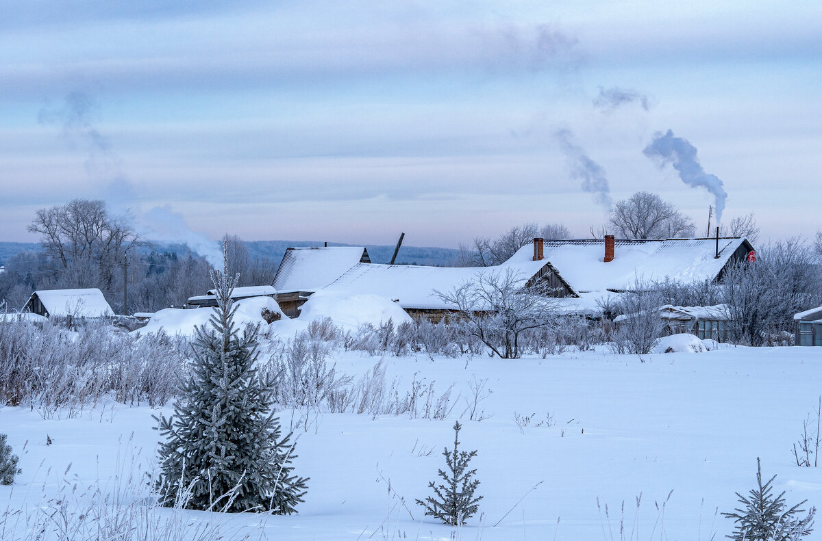 Холодное утро в деревне - Алексей Сметкин