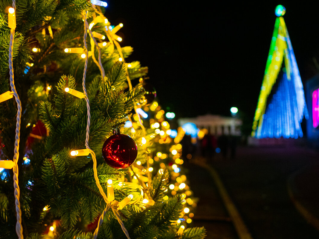 Севастополь в ночь на Рождество. - Андрей Козлов