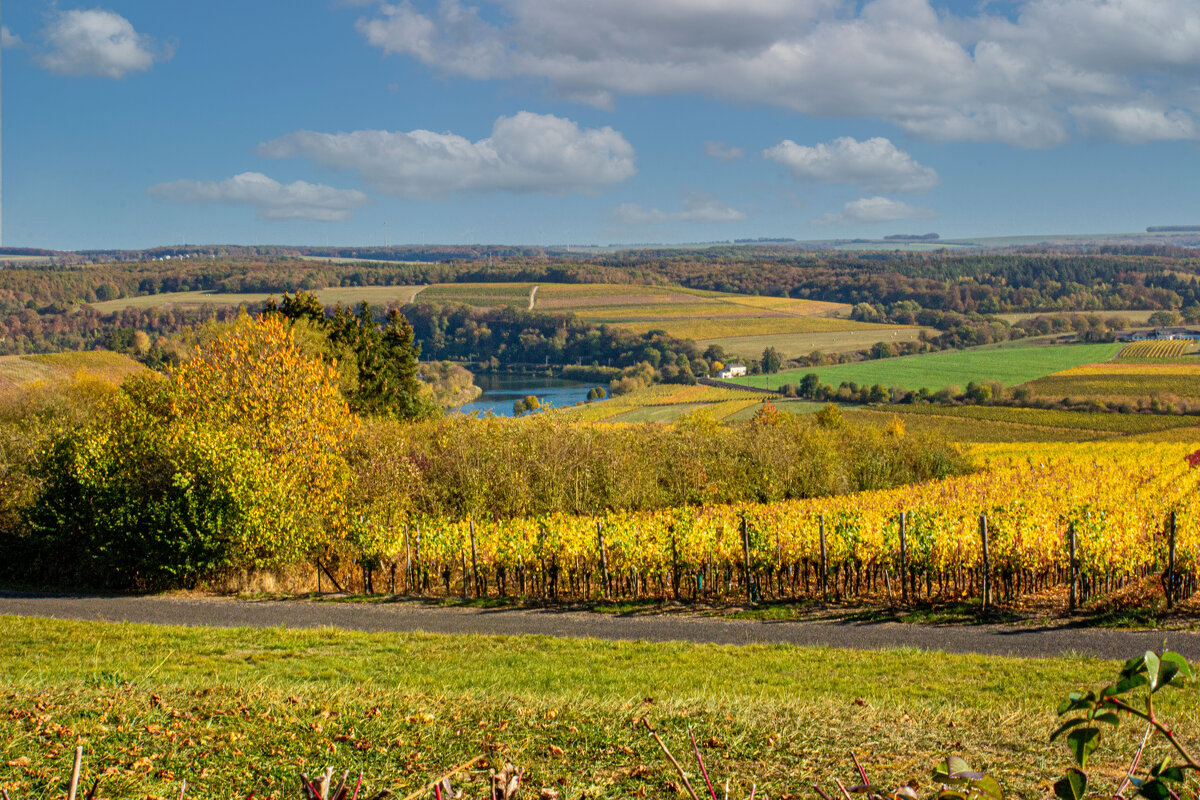 Мозельская виноградная провинция на р.Мозель.Люксембург. - Lucy Schneider 