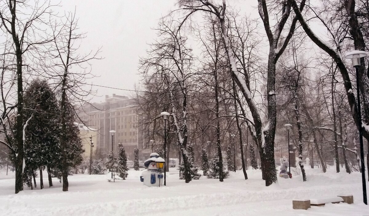Зима в парке/ Идёт снег - Galina Solovova