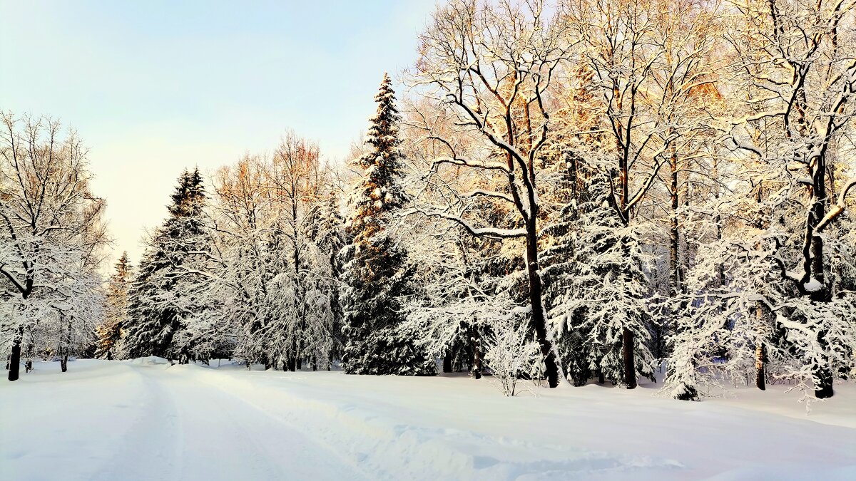 В парке выпал снег, много снега - 2 - Сергей 