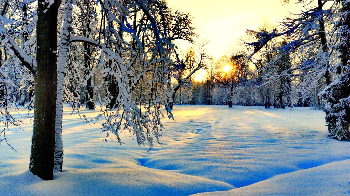 В парке выпал снег, много снега - 5 - Сергей 