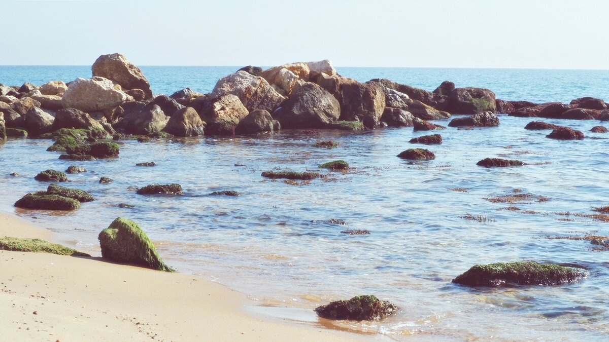 На берегу моря - wea *