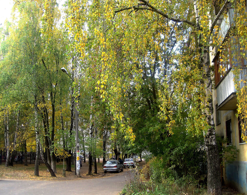 Мой город осенью - Елена Семигина