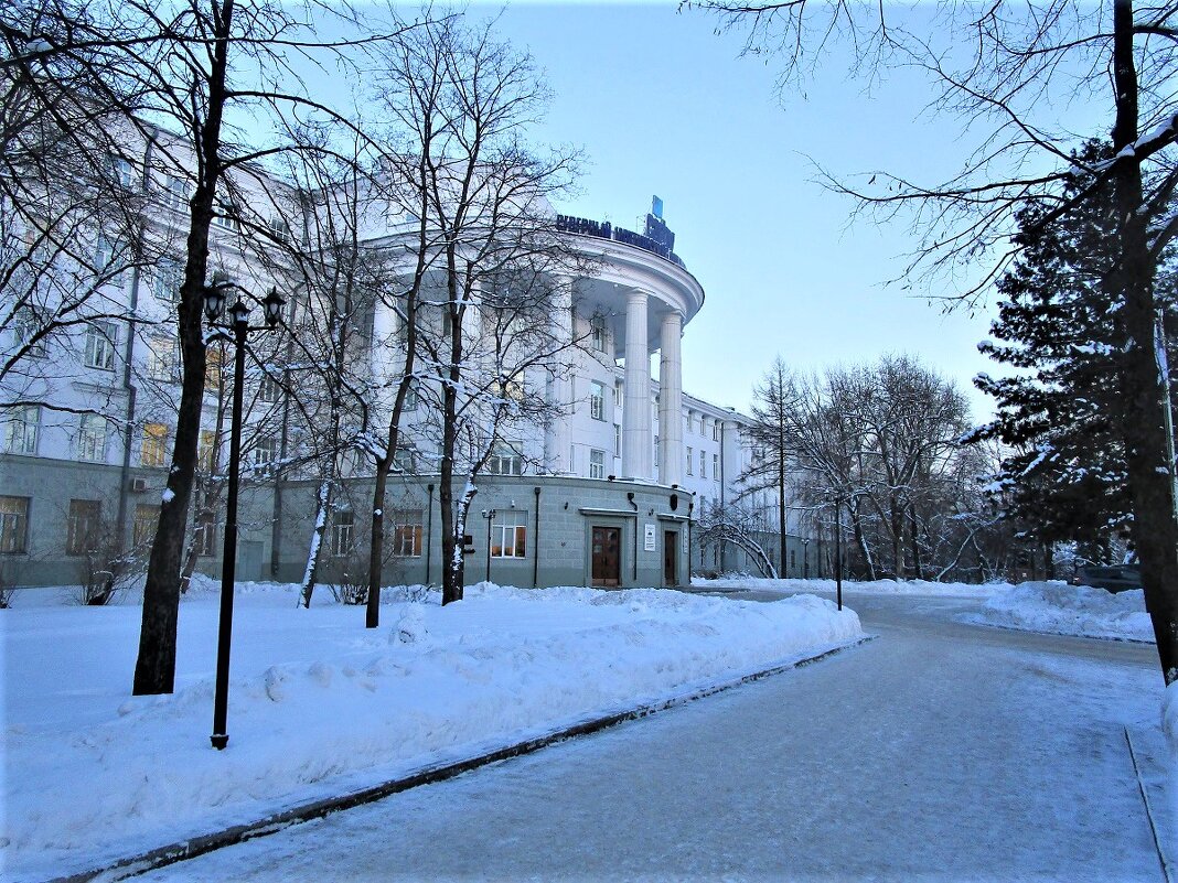 САФУ-основано это учебное заведение было в 1929 году. - ЛЮДМИЛА 