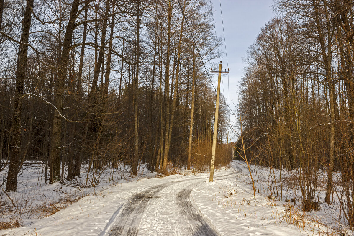Прогулка по зимней дороге - оксана 