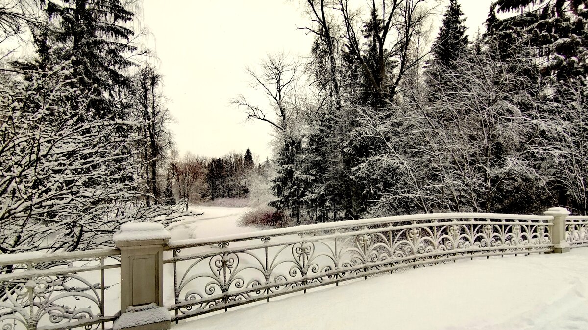 В парке прошёл снег - 1 - Сергей 