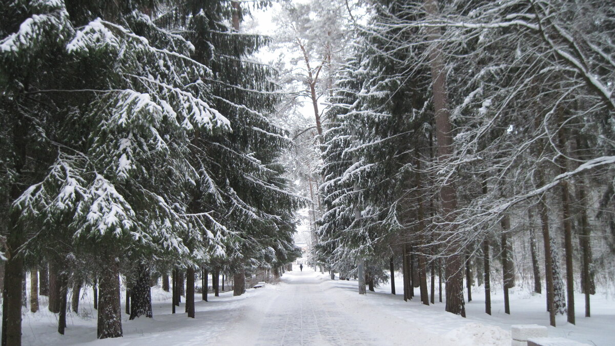 Зима в Сестрорецке - Маера Урусова