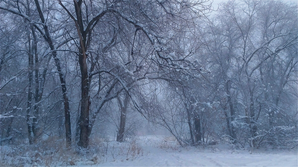 зимний туман - Евгений nibumbum