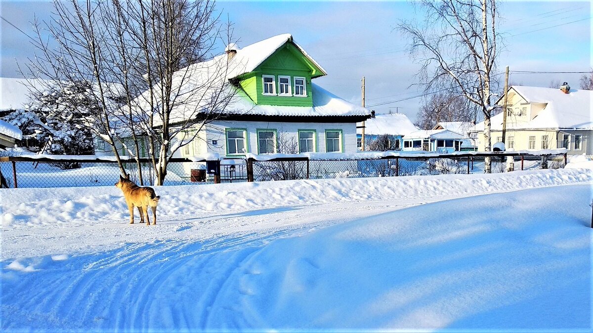 Деревни РусскогоСевера. - ЛЮДМИЛА 