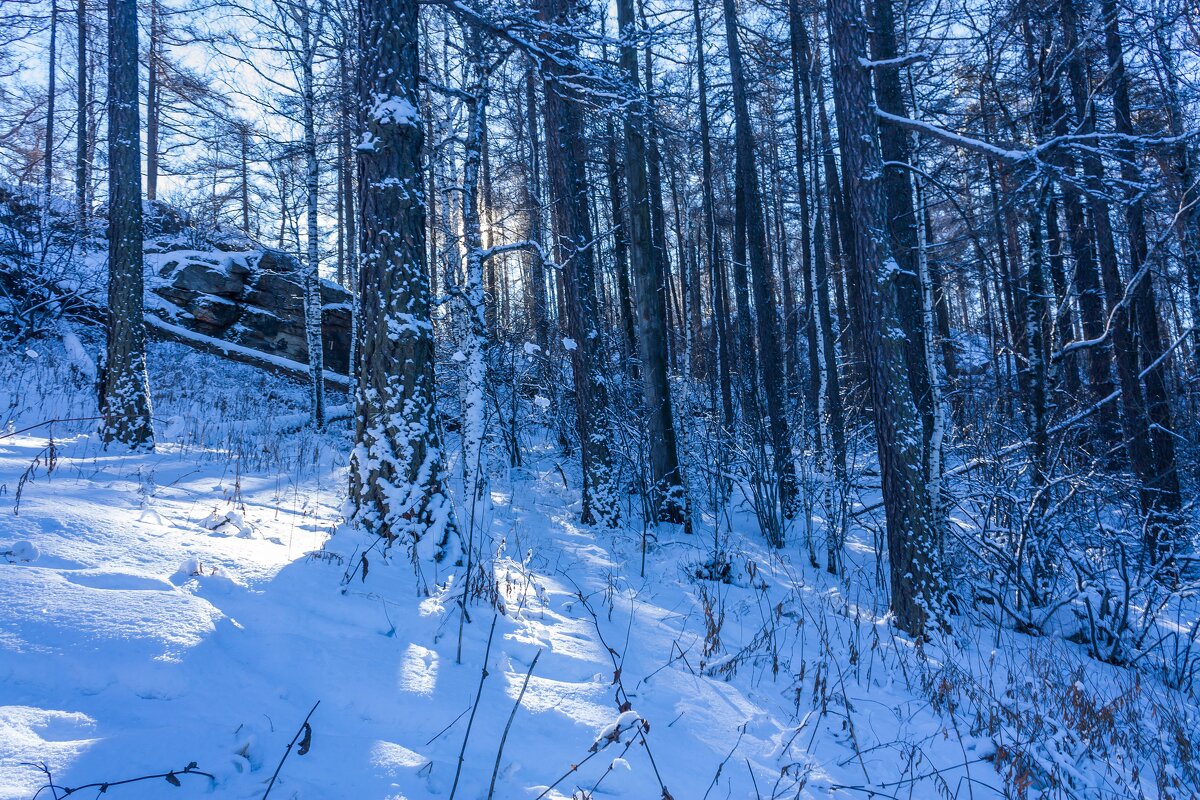 Зимний лес на перевале. - Алексей Трухин